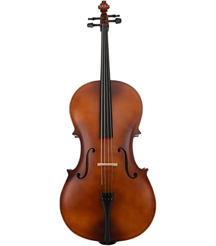 Amazon | Cecilioチェロ楽器-子供と大人のフルサイズチェロ、弓、弦